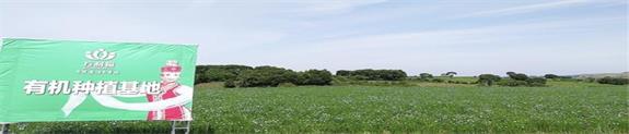 7月實地探訪萬利福有機(jī)種植基地